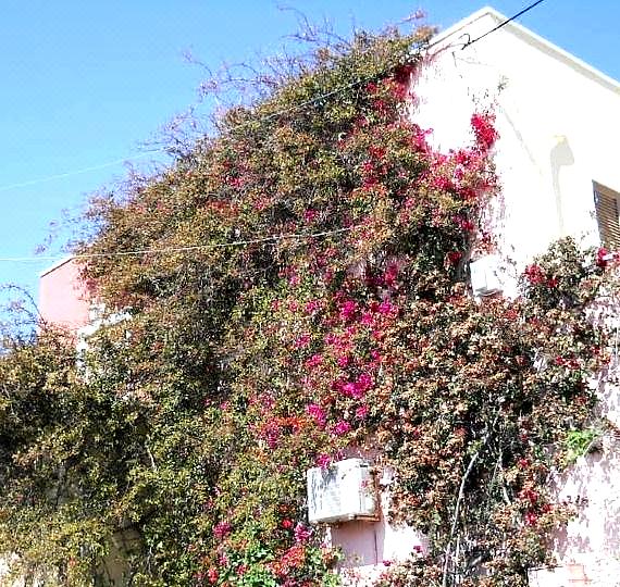Hotel Palladion
